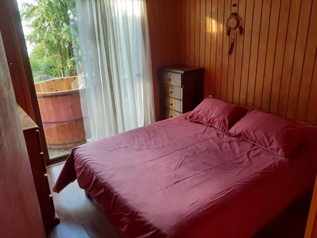 Chalet Ayalén Con Vista Al